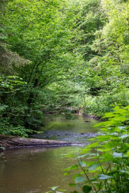 Baharda Villiers Boğazı 'nın dibindeki nehir.