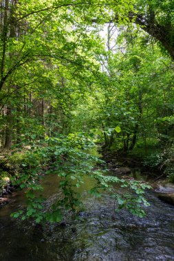 Baharda Villiers Boğazı 'nın dibindeki nehir.