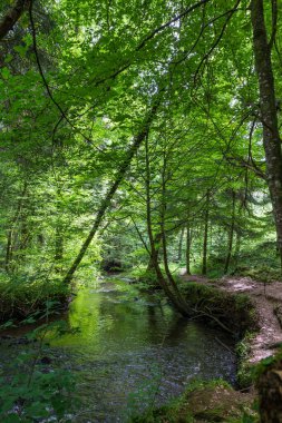 Baharda Villiers Boğazı 'nın dibindeki nehir.
