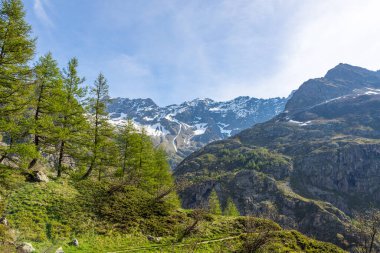 Valgaudemar Vadisi 'ndeki Lauzon Gölü' nün yürüyüş parkurlarından Gioberney Sirki.