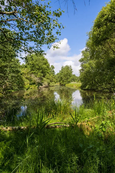 Stock image Natural landscape of the Grand Haze Marsh in Briouze on a sunny spring day