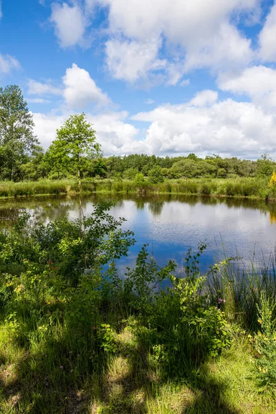 stock image Natural landscape of the Grand Haze Marsh in Briouze on a sunny spring day