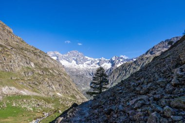 Yürüyüş parkurundan Valgaudemar Vadisi 'ndeki Refuge de Chabourneou' ya kadar...