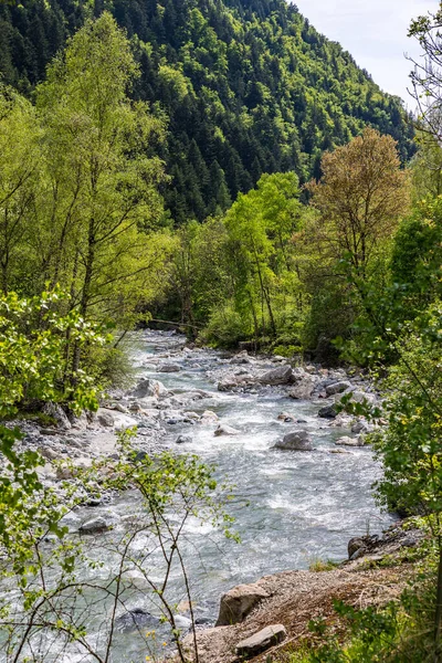 La Severaisse nehri Valgaudemar Vadisi 'nde baharda Villar-Loubiere köyü yakınlarında.