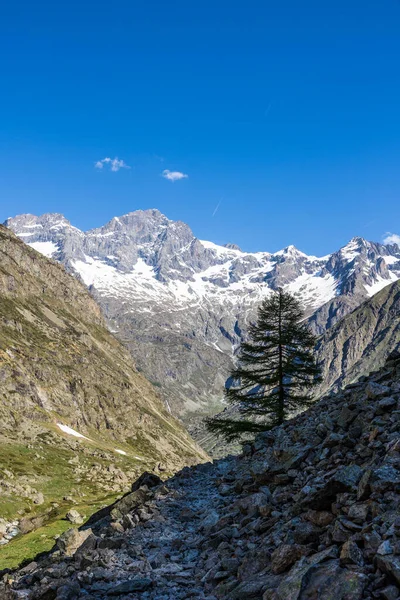 Landschaft Vom Wanderweg Zur Refuge Chabourneou Valgaudemar Tal — Stockfoto