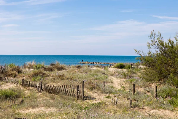 stock image Dunes of the Petit Travers beach in Carnon, near Montpellier, in spring