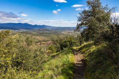 Lodeve yakınlarındaki Cayroux platosunda yürüyüş parkurunda.