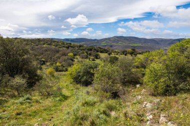 Cayroux Platosu 'ndan Lodeve yakınlarındaki dağlık kitlelerin manzarası