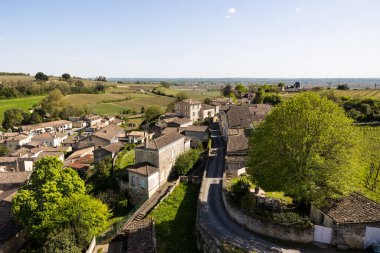 Saint-Emilion 'un Tour du Roy' un tepesinden görünüşü