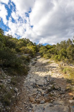 Matelles köyü yakınlarında Bois de Leque yürüyüş parkuru.