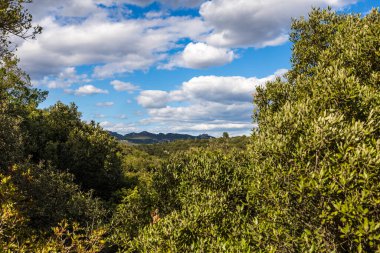 Bois de Leque 'den Montferrand kalesi.