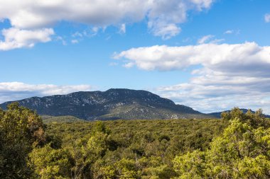 Les Matelles 'deki Bois de Leque' den Pic Saint-Loup Manzarası