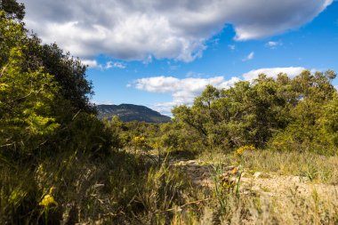 Les Matelles 'deki Bois de Leque' den Pic Saint-Loup Manzarası