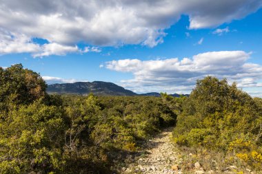 Les Matelles 'deki Bois de Leque' den Pic Saint-Loup Manzarası