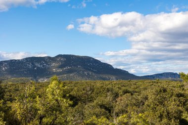 Les Matelles 'deki Bois de Leque' den Pic Saint-Loup Manzarası