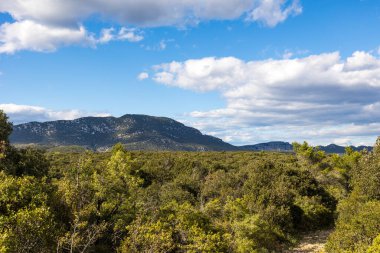 Les Matelles 'deki Bois de Leque' den Pic Saint-Loup Manzarası