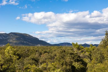 Les Matelles 'deki Bois de Leque' den Pic Saint-Loup Manzarası