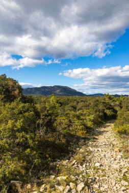 Les Matelles 'deki Bois de Leque' den Pic Saint-Loup Manzarası