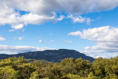 Les Matelles 'deki Bois de Leque' den Pic Saint-Loup Manzarası