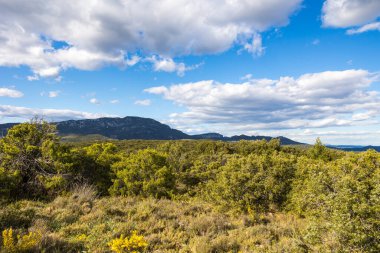 Les Matelles 'deki Bois de Leque' den Pic Saint-Loup Manzarası