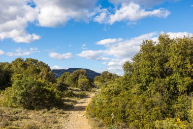 Les Matelles 'deki Bois de Leque' den Pic Saint-Loup Manzarası