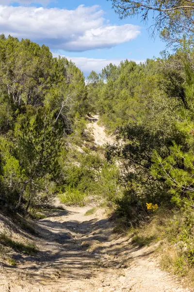 stock image Bois de Leque hiking trail near the village of Matelles