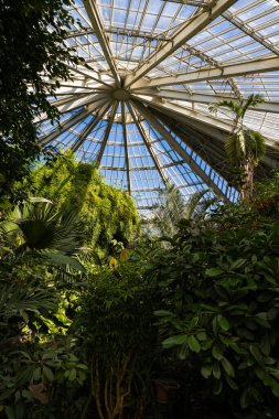 Nice 'deki Parc Phoenix' in tropikal serasının cam çatısı.