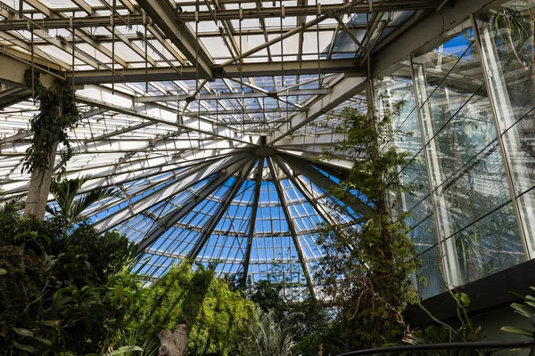 stock image Glass roof of the tropical greenhouse of the Parc Phoenix in Nice