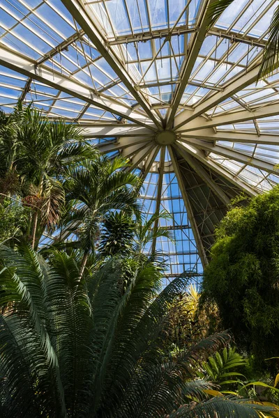 stock image Glass roof of the tropical greenhouse of the Parc Phoenix in Nice