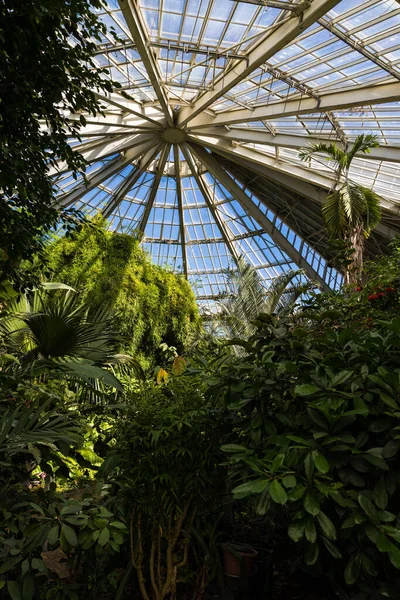 尼斯凤凰公园热带温室的玻璃屋顶 图库图片