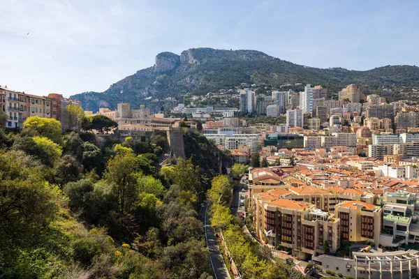 Палац Принца Монако Скелі — стокове фото