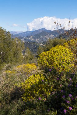 Nice 'in kuzeyindeki dağlar Mont Alban' dan.