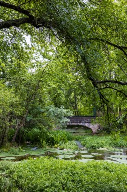 Gue du Lez, nehrin hassas, yeşil bir bölgesi, Prades-le-Lez 'deki Domaine de Restinclieres yakınlarında.