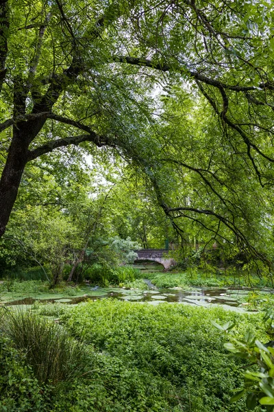 Gue Lez Una Zona Sensible Verde Del Río Cerca Del — Foto de Stock