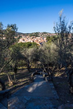 Moulin de la Cortina çevresindeki zeytin ağaçlarından Collioure manzarası