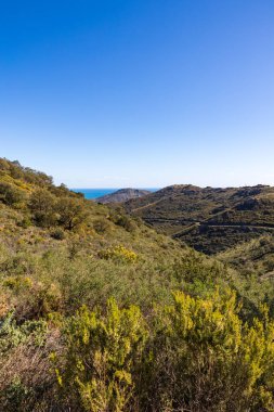 Deniz ve karaya hükmeden Ayı Kalesi manzarası