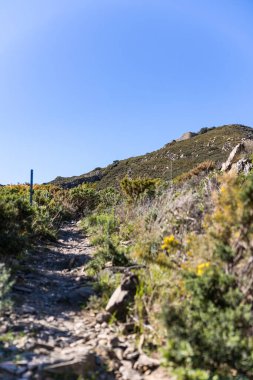Collioure yakınlarındaki Alberes Dağları 'ndaki Dugommier Kalesi manzarası