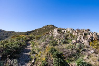 Collioure yakınlarındaki Alberes Dağları 'ndaki Dugommier Kalesi manzarası