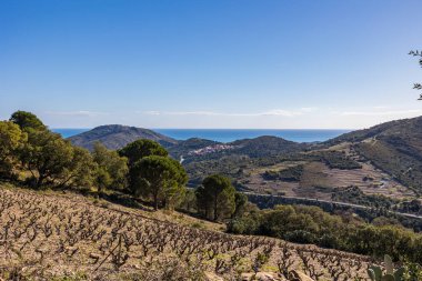 Alberes Dağları 'ndan Vermeille Sahili manzarası