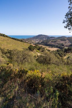 Alberes Dağları 'ndan Vermeille Sahili manzarası