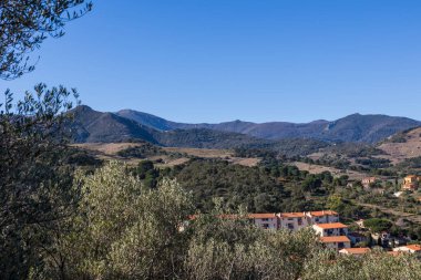 Collioure 'daki Alberes Dağları' nın manzarası.