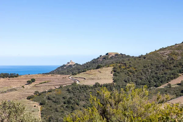 stock image View of Fort Saint-Elme and Fort Dugommier overlooking the sea and the Vermeille Coast