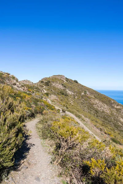 Collioure ve Vermeille Sahili manzaralı Taillefer Bataryası