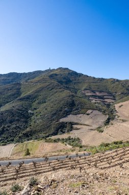 Collioure yakınlarındaki Alberes Dağları 'ndaki Madeloc Kulesi' nin manzarası.