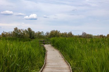Scamandre göletinin üzerindeki ayaklıklar üzerinde, biyolojik çeşitlilik açısından zengin.