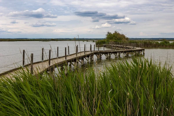 stock image Path on stilts above the Scamandre pond, rich in biodiversity