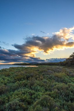 Vic-la-Gardiole 'deki Bois des Aresquiers' in üzerinde gün batımı