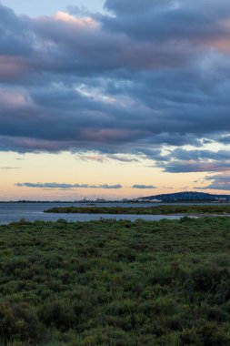 Frontignan Limanı ve Mont Saint-Clair gün batımında Bois des Aresquiers 'den ufukta.