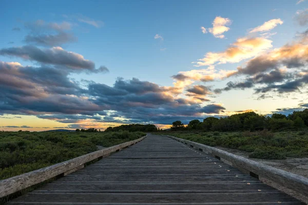 stock image Sunset over the Bois des Aresquiers natural site in Vic-la-Gardiole