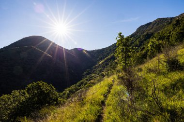 Cevennes 'in güneyinde, Sumene yakınlarındaki Ranc de Banes yürüyüş yolunda parlak güneş ışığı.